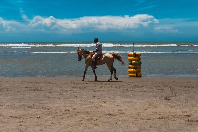 Negril: Beach HorseRide Experience with Free Photos & Videos