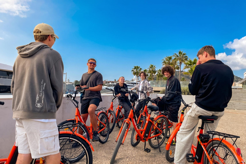 Malaga: Guided Bike Tour with E-Bike Option & Highlights Private Tour by Regular Bike (Up to 10 People)