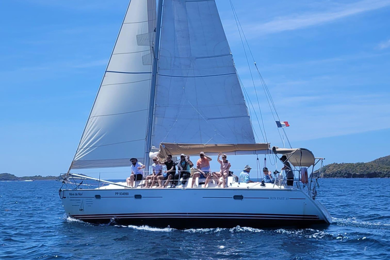 Excursion to Les Saintes : Full-Day Sailing and Snorkeling