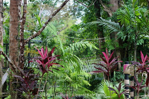 Koh Samui: Samui Zipline Adventure with Transfer service Zipline B - 16 Platforms