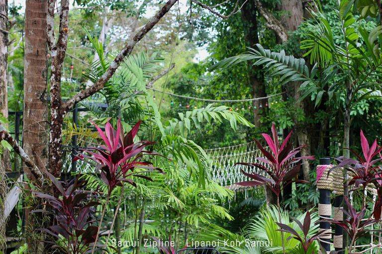 Koh Samui: Samui Zipline Adventure with Transfer service Zipline B - 16 Platforms