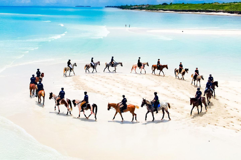 Zanzibar: Ridning och sköldpaddssimning