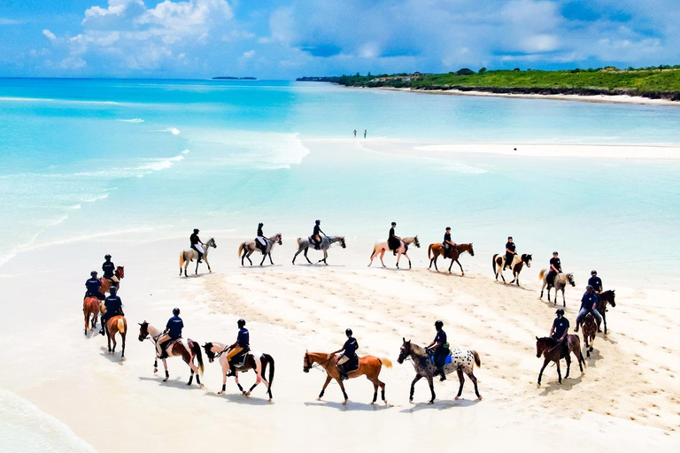 Zanzibar: Horseback Riding and Turtle Swimming Tour