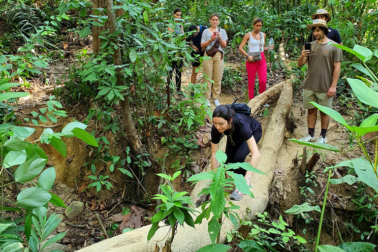 Khao Sok: Half-Day & Night Wildlife Trek and Jungle Dinner Option 6: Half-Day & Night Trek with Dinner From Khao Lak