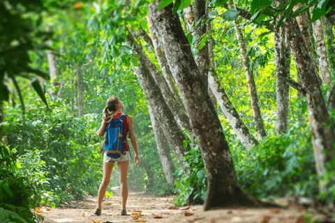 Krabi: Excursão à floresta tropical com piscina de esmeraldas e fontes termaisExcursão de 1 dia