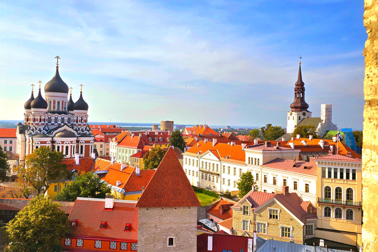 Helsinki: nach Tallinn VIP-Tagestour mit Fähre und Tour