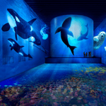 Bordeaux: Bassins des Lumières Biglietto Oceano
