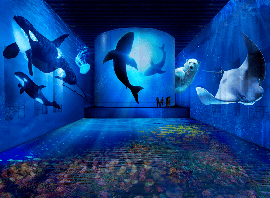 Bordeaux : Billet Bassins des Lumières Océan