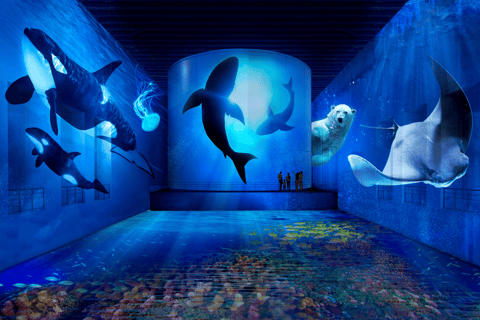 Bordeaux: Bassins des Lumières Bilet Ocean