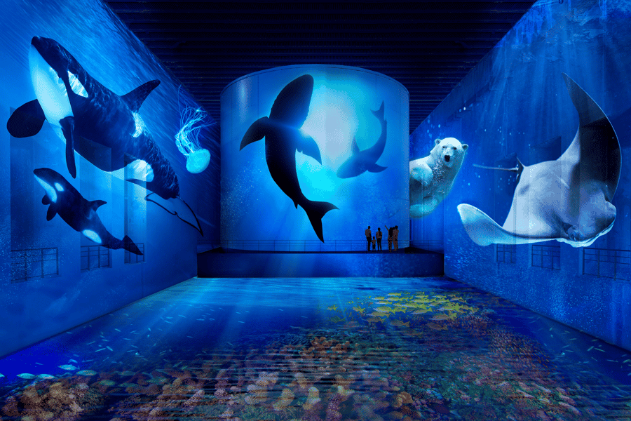 Bordeaux: Bassins des Lumières Ozean-Ticket. Foto: GetYourGuide