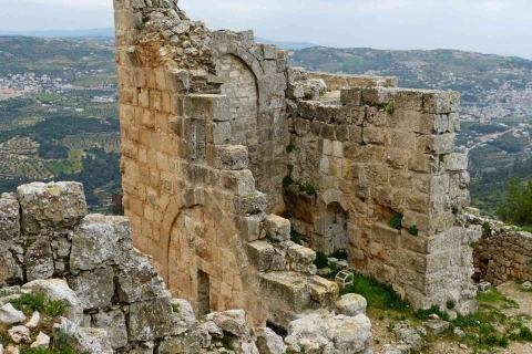 Jerash en Ajloun Bezienswaardigheden vanuit Amman
