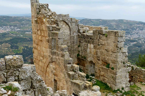 Zwiedzanie Jerash i Ajloun z Ammanu