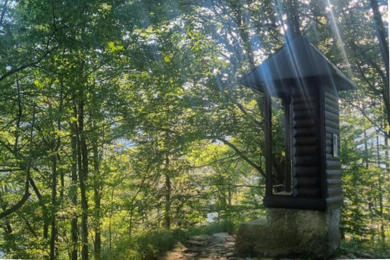 Bled: Guided Forest Meditation and a Personal Spirit Message