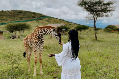 ZANZIBAR: Zakir Wildlife Park Feeding Giraffes, Zebra & More THIS OPTION FOR GUESTS STAYING FAR FROM SOUTH COAST AREAS