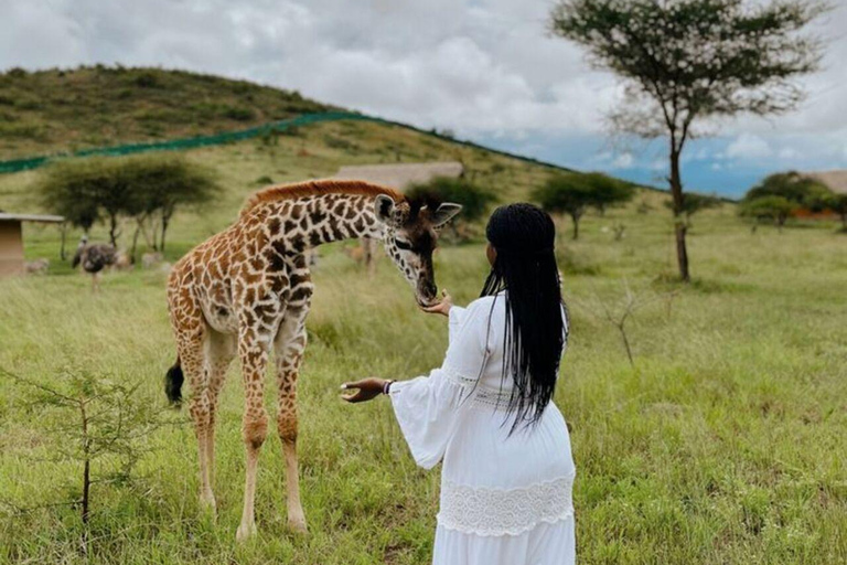 ZANZIBAR: Zakir Wildlife Park Feeding Giraffes, Zebra & More THIS OPTION FOR GUESTS STAYING FAR FROM SOUTH COAST AREAS