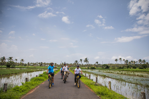 Countryside Treasures of South Goa: E-Bike Exploration