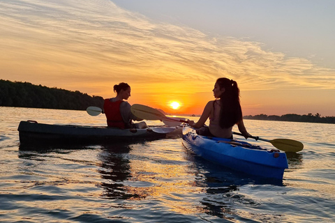 Belgrade: Sunset Kayak Tour