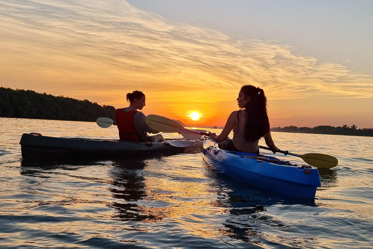 Belgrade: Sunset Kayak Tour