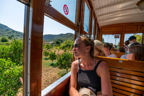 Majorque : visite av. trajet en bateau & train depuis le sud