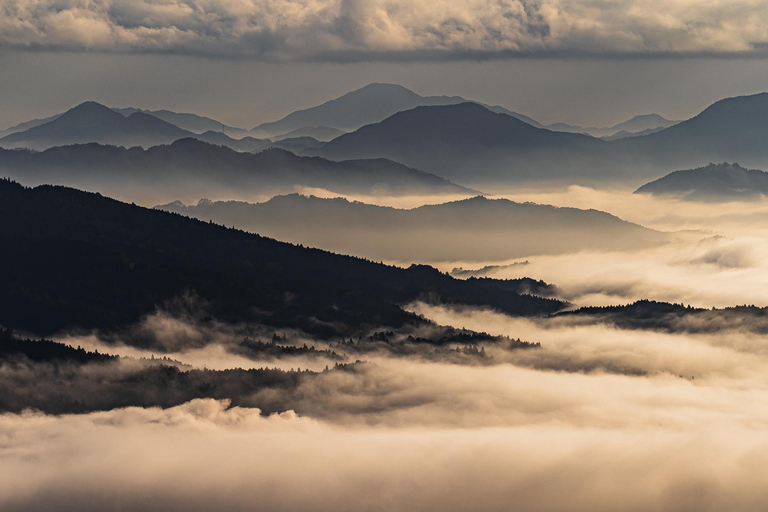 Nagoya: Soni Highlands & Akame 48 Waterfalls Guided Hike