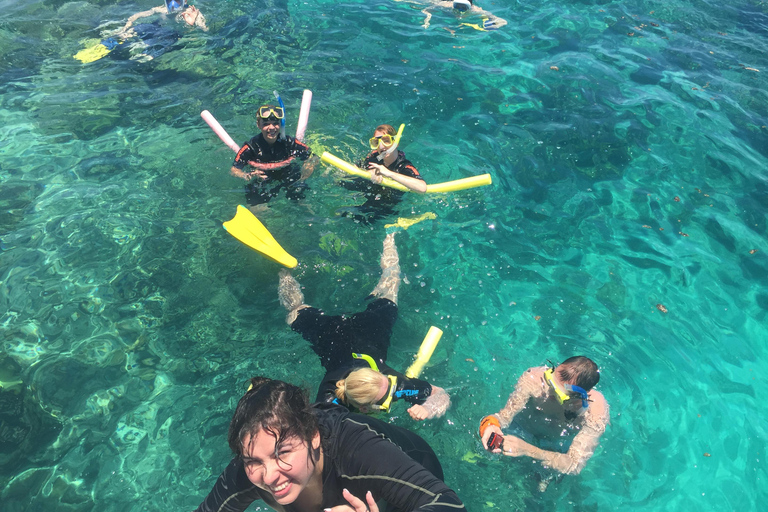 Cairns: Great Barrier Reef Snorkeling Tour - 20 guests max