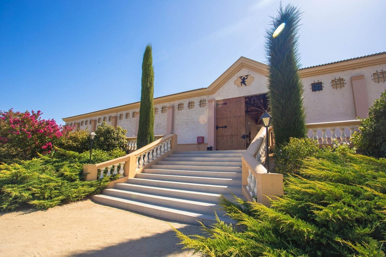 Casablanca: Private Wine Tour at Estancia El Cuadro, Valparaíso, Viña del Mar