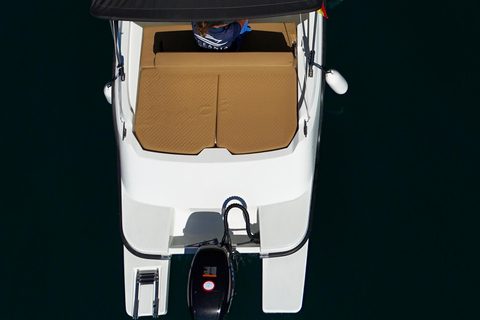 ماربيا: تأجير قوارب بدون ترخيص لمشاهدة الدلافينإيجار لمدة 30 دقيقة