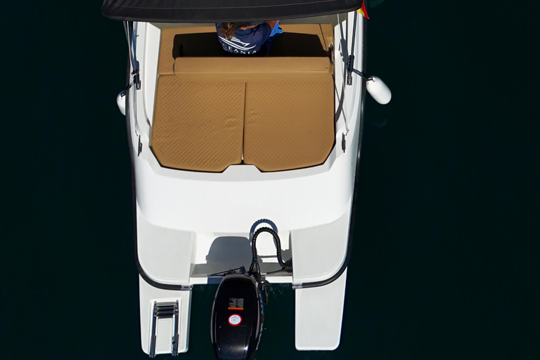 ماربيا: تأجير قوارب بدون ترخيص لمشاهدة الدلافينإيجار لمدة 30 دقيقة