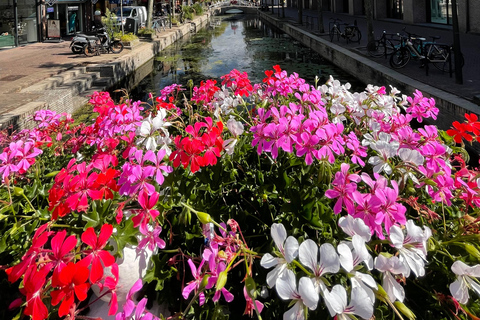 Amsterdam: Delft and The Hague Day Trip -Car Museum *