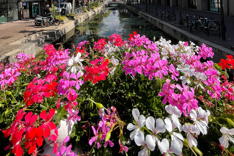 Amsterdam: Delft and The Hague Day Trip -Car Museum *