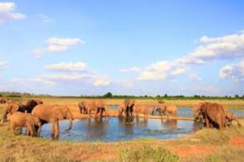 Day Tour to Tsavo East National Park