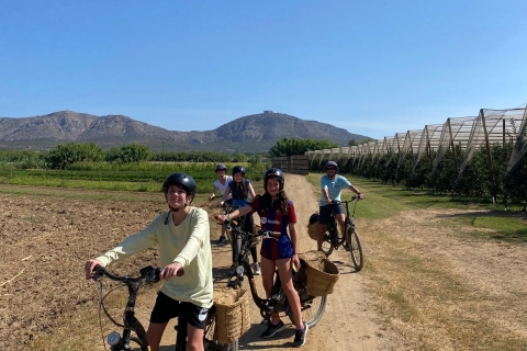Desde Barcelona : E-Bike por la provincia de Girona y la Costa BravaBicicletas eléctricas en el campo catalán y la Costa Brava