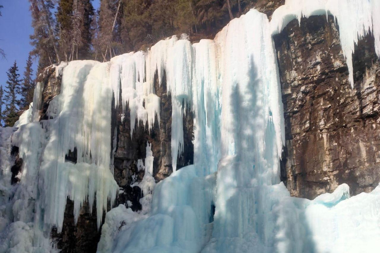 Lac Louise, randonnée glaciaire au canyon Johnston, ville de Banff, chutes Bow