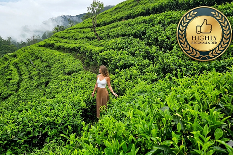 Sri Lanka: 3-Day All-Inclusive Multi-Day Tour+Scenic Train Only Transport