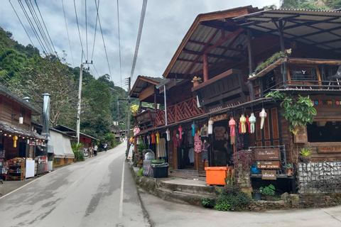 Mae Kampong Village, Hot Springs, Bo Sang Umbrellas Making