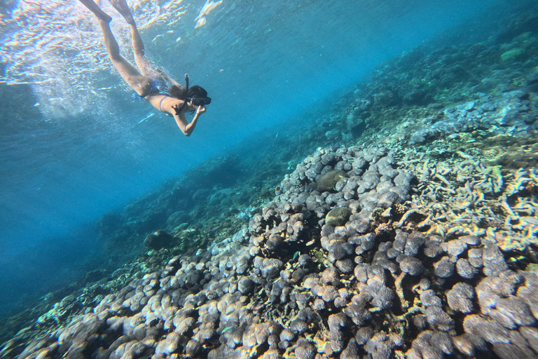 Vanuit Bali: Snorkelen bij Manta Point Nusa Penida &amp; Land TourSnorkelen en West Land Tour (Trefpunt - Sanur Haven)