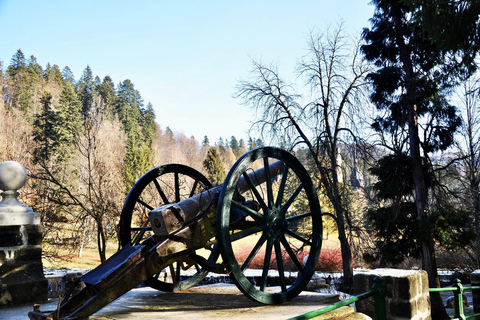 Von Bukarest aus: Entdecke das mittelalterliche Transsilvanien in einer 3-Tages-Tour