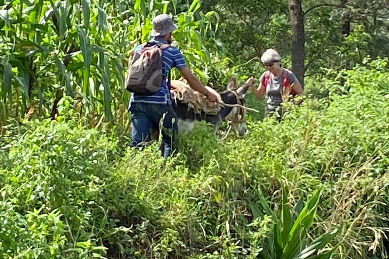 Santo Antão: 2-dagars guidad vandring
