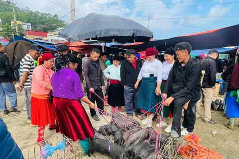 Ha Giang: Dong Van Market Fair Tour with Guide