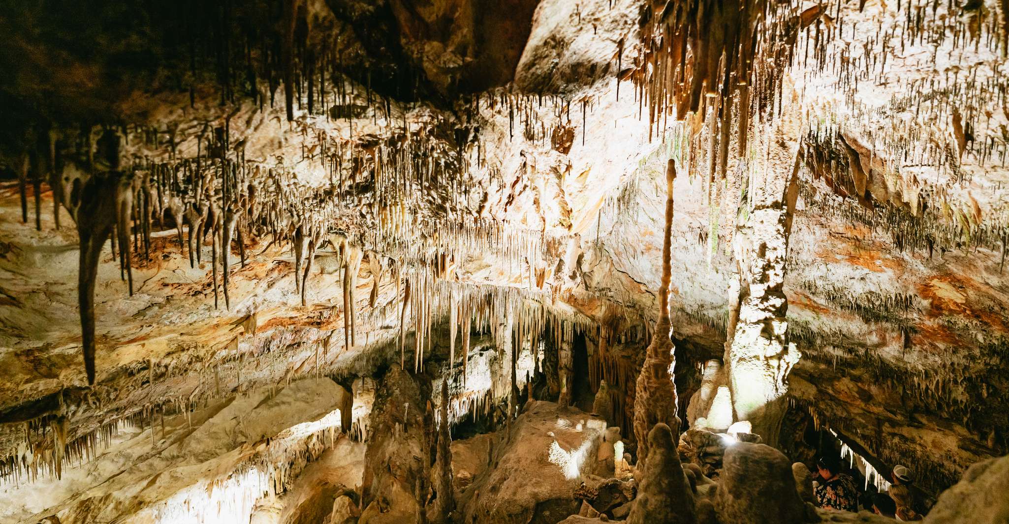 Mallorca, Caves of Drach Day Trip & Optional Caves of Hams - Housity