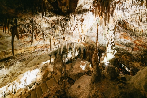 Majorka: Caves of Drach Day Trip i opcjonalne Caves of HamsWycieczka półdniowa: Smocze Jaskinie Drach