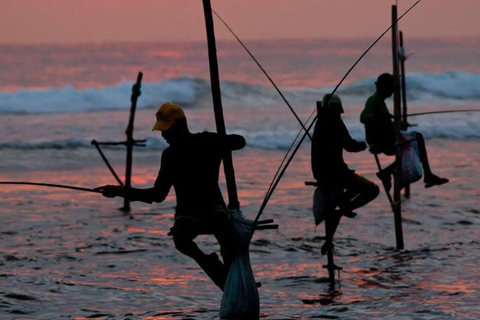 Mirissa Whale Watching, Turtle Snorkeling &Coconut Hill Tour Private Tour from Colombo, Negombo or Mount Lavinia