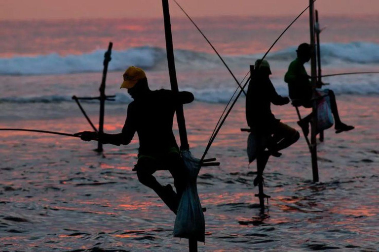 Mirissa Whale Watching, Turtle Snorkeling &Coconut Hill Tour Private Tour from Colombo, Negombo or Mount Lavinia