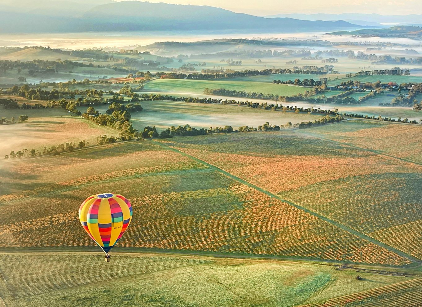 Yarra Valley: Luftballonflyvning og morgenmadsbuffet