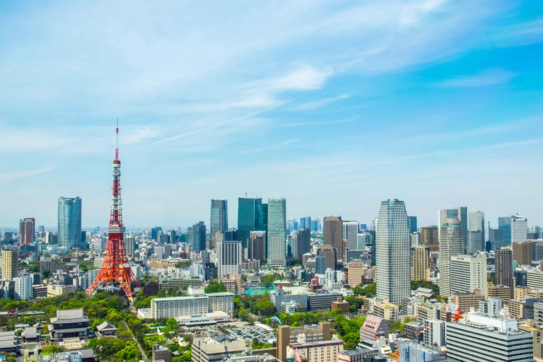 Tokio: Private Customizable Tour mit Transfer