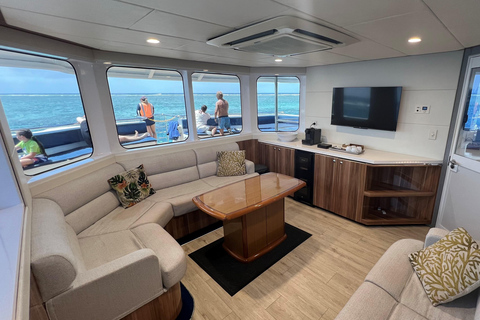 Cairns: Great Barrier Reef Cruise with Gold Class Lounge