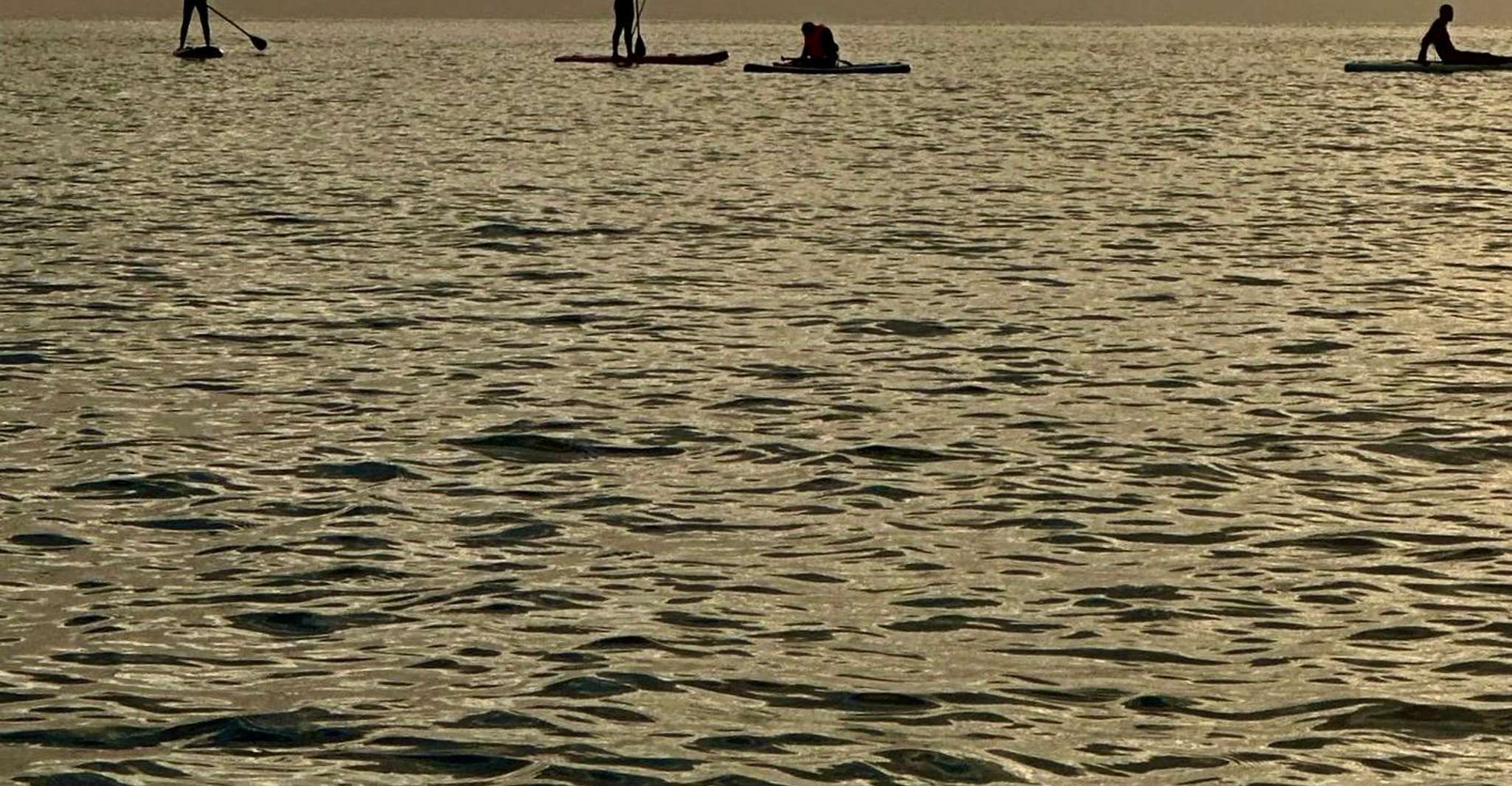 Barcelona: Paddleboarding at Sunrise. Includes: instructor, photos, equipment photo 6