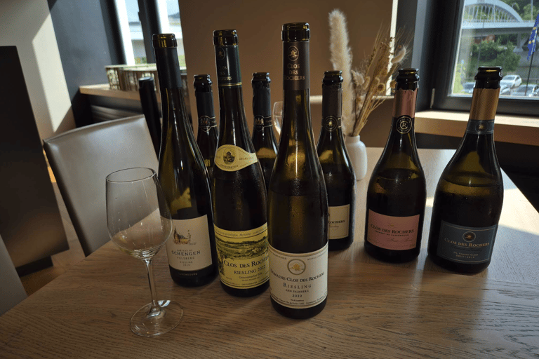 Luxembourg: Moselle Wine & Beaufort Castle Private Day Tour