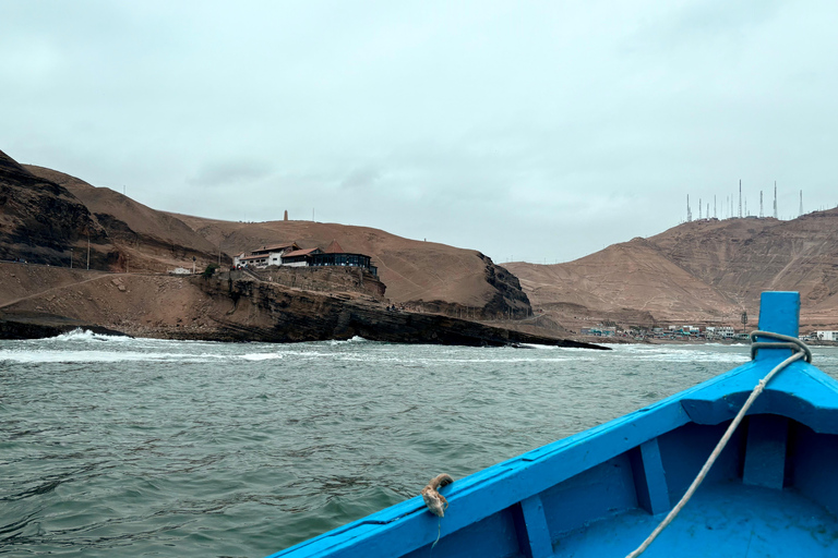 Lima: Adventures in Chorrillos – Guided Walk & Boat Tour