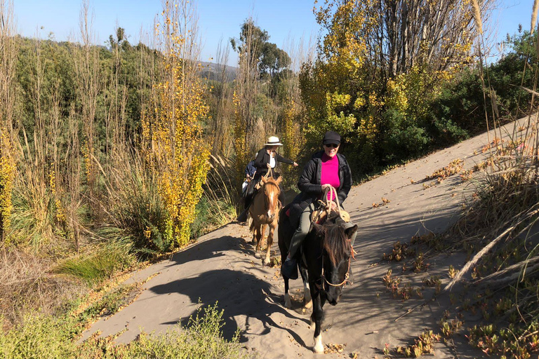 Lunch, Birdwatching in Wetlands &amp; Horse Ride from Valparaíso